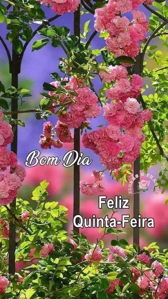 Aos amigos do coração bjs.