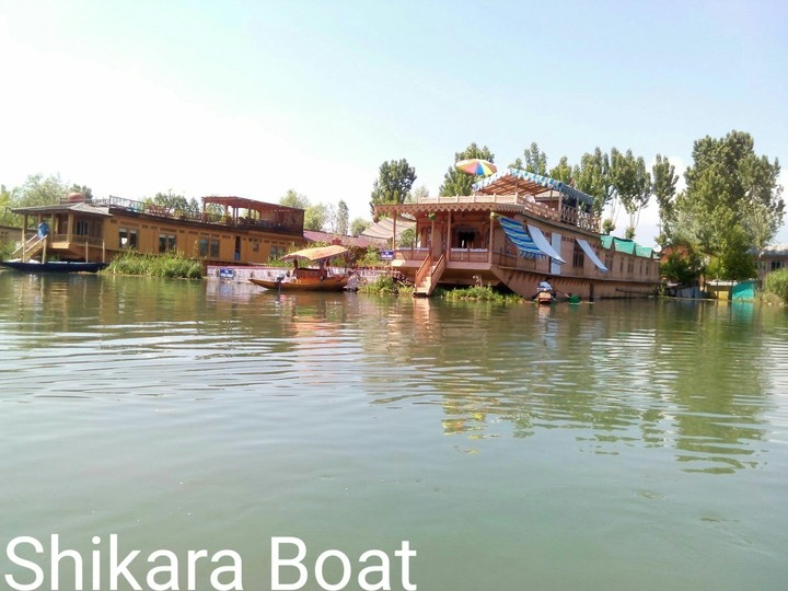 Shikara Boat ,Dal lake