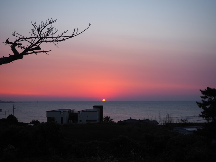 pink sunset