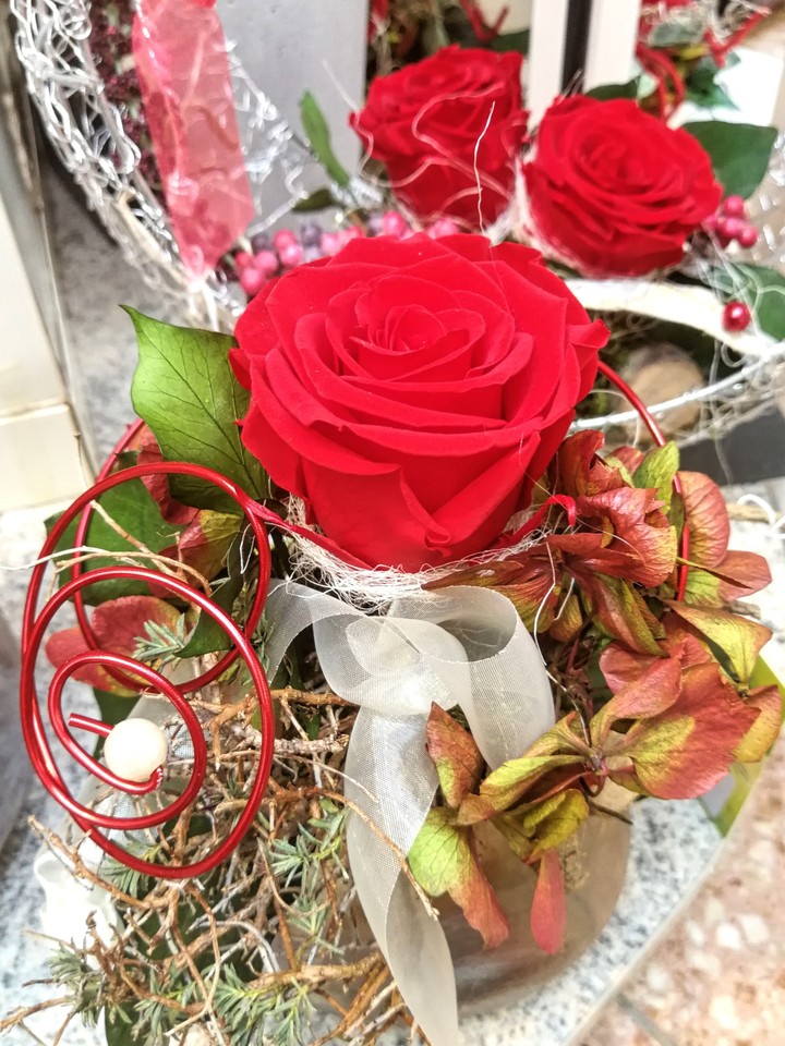 Wunderschöne Rosen