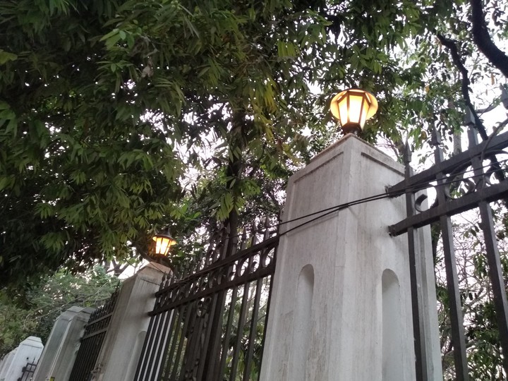 lamp of life