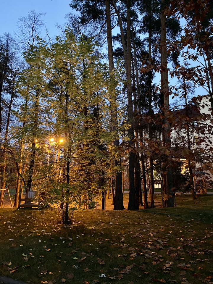 evening