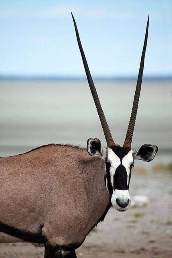Namibia