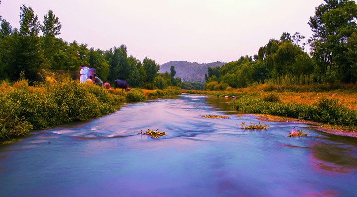 Nature is beautiful