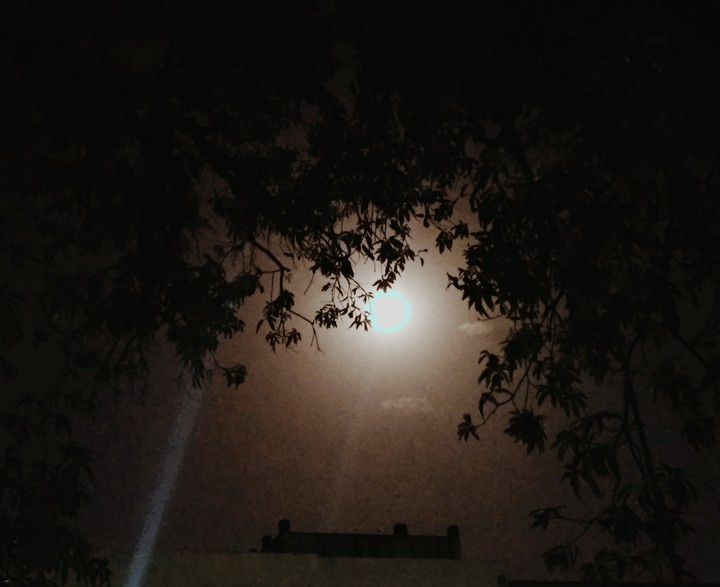 night scenes