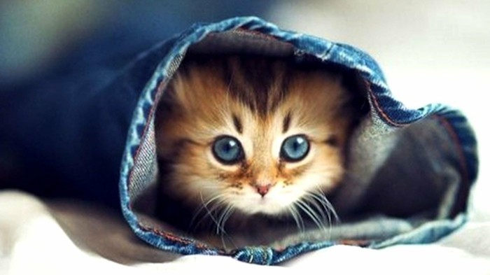 Trop mignon ❤
