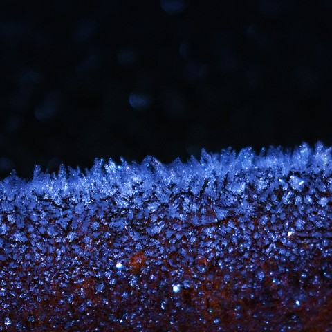 icy ice