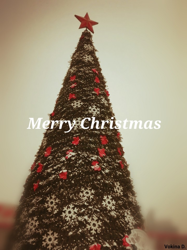 Merry Christmas✨