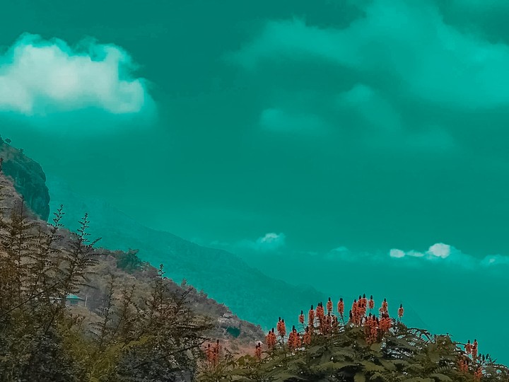 nature -.beautiful experience