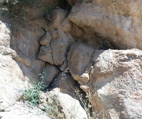 Rock