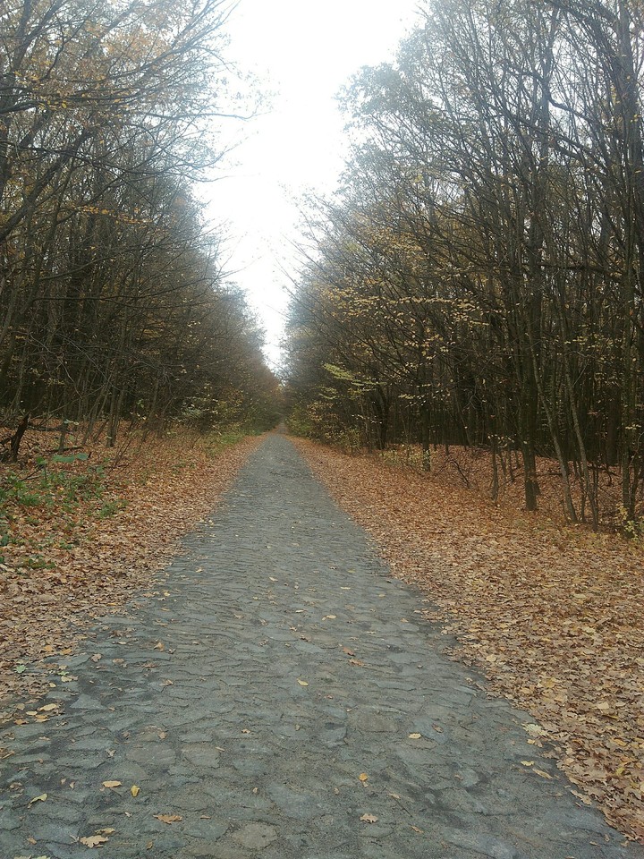 fall