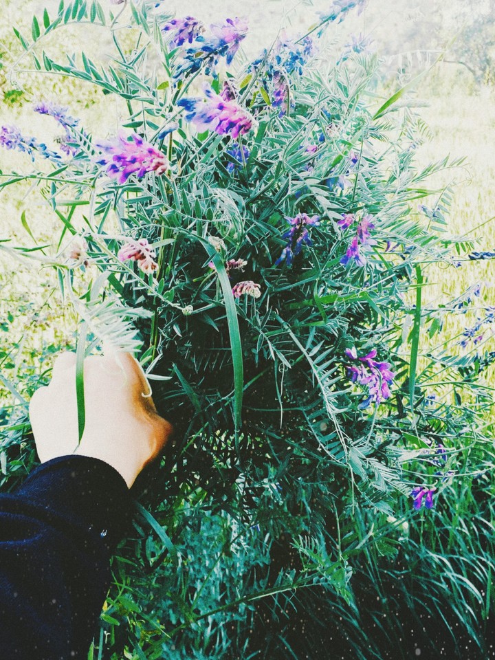 flowers♥️