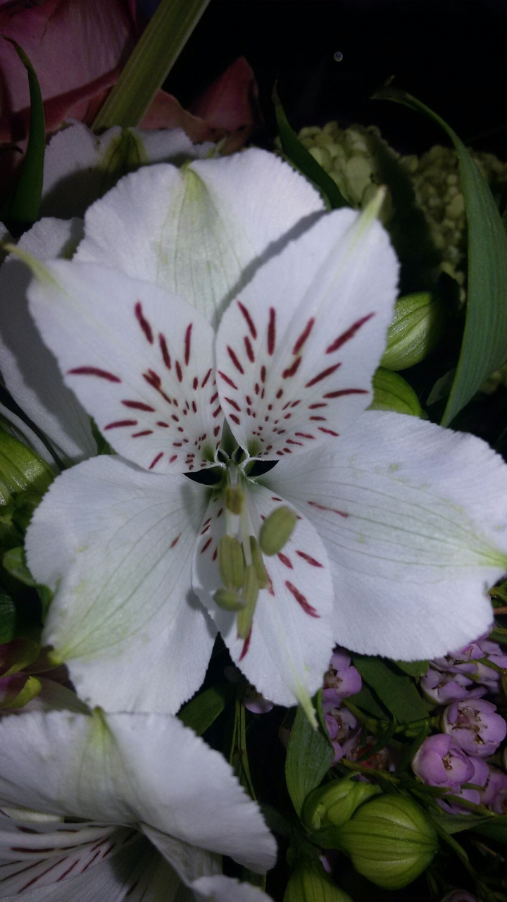 flower