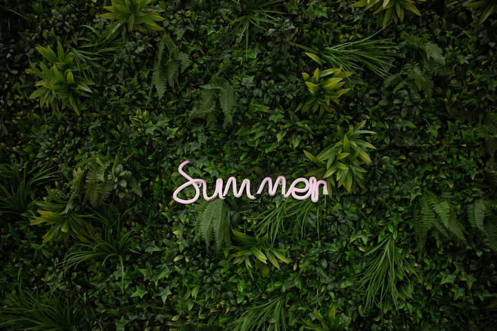 A life without love is like a year without summer.