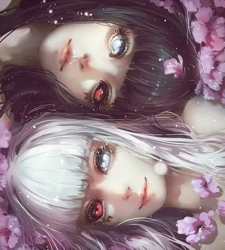bonito