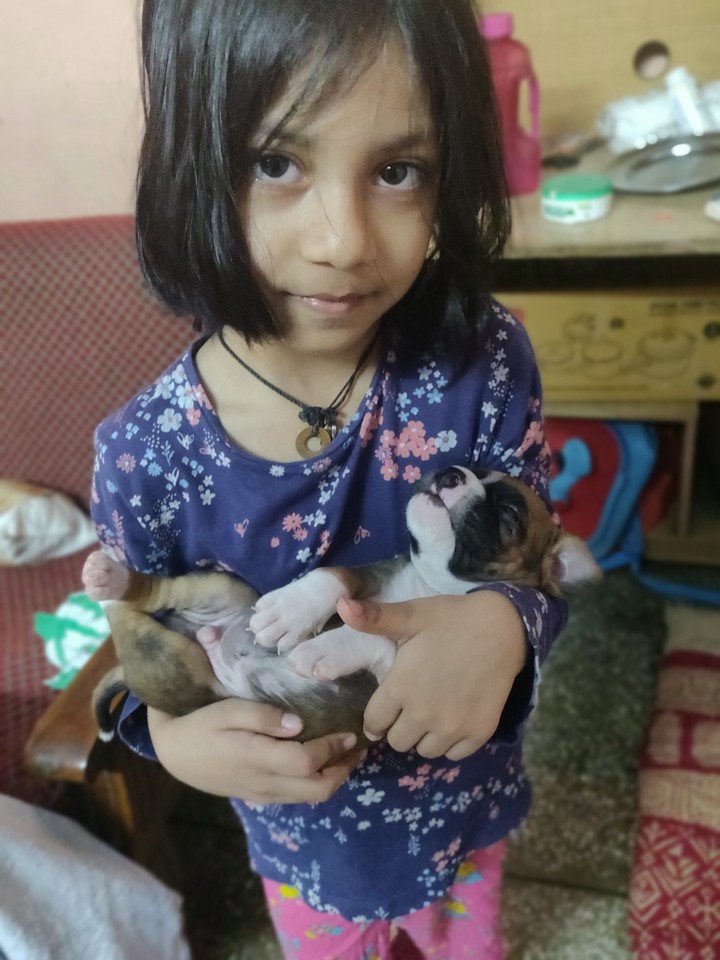 dog and daughter