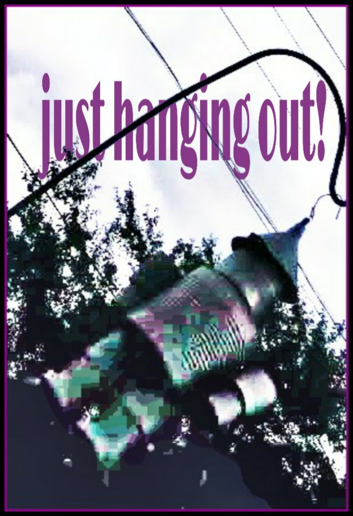 just hanging out