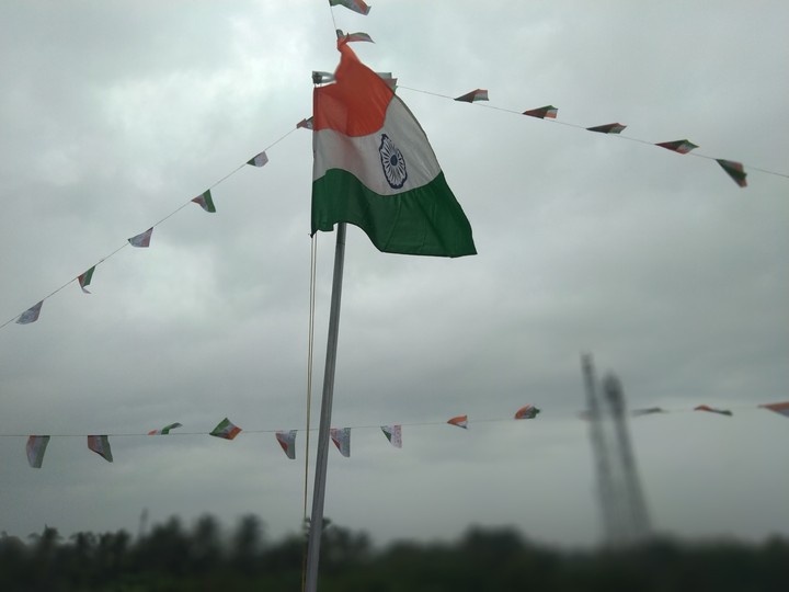 indian flag
