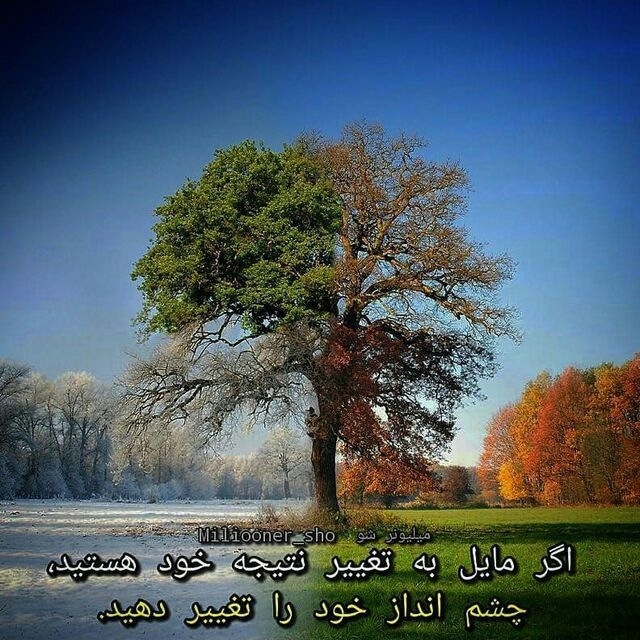 #تلفیق_هنر