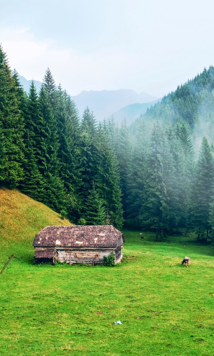 nature