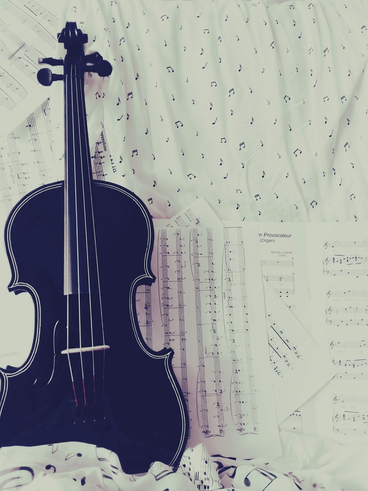 Violin