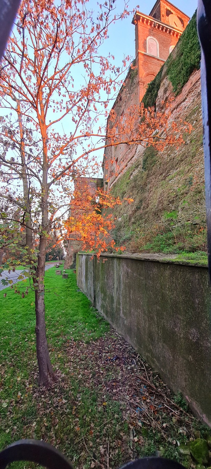 Color of Autumn