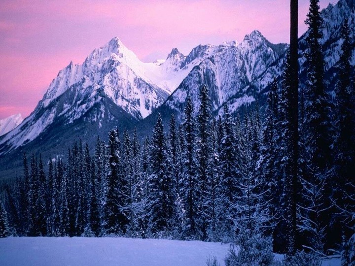 My favourite Image♥