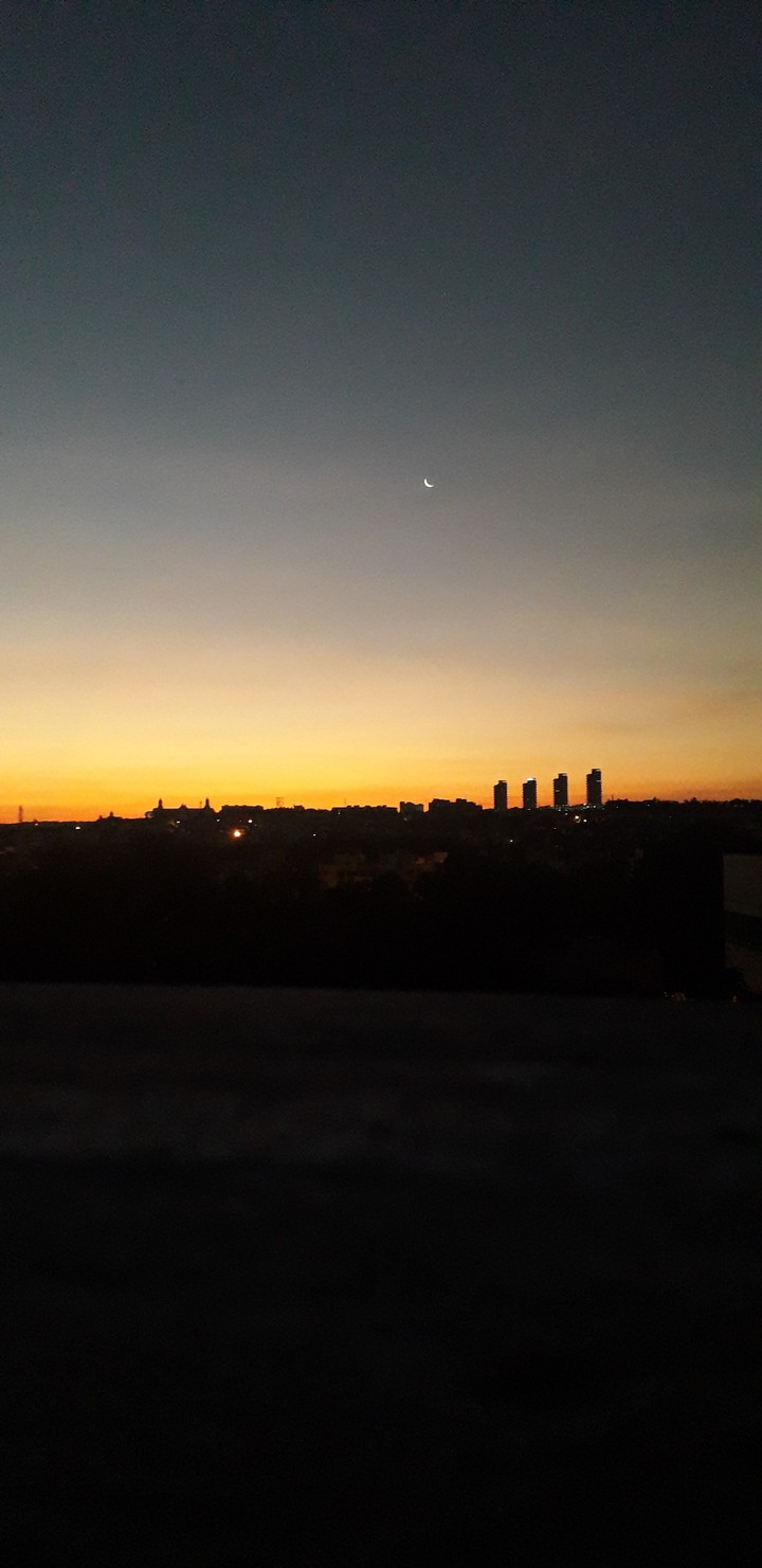 morning