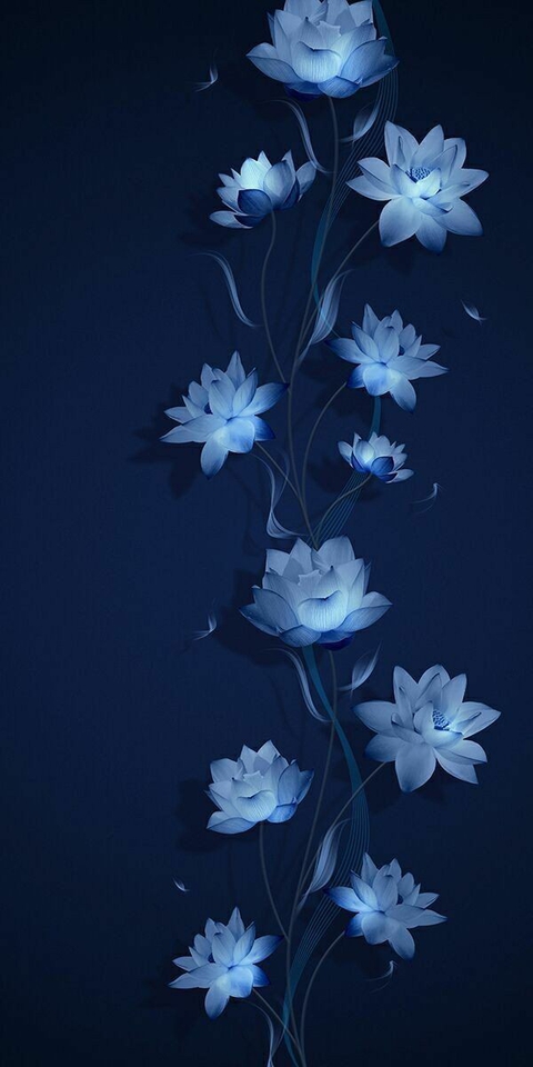 тапети wildflower, flower