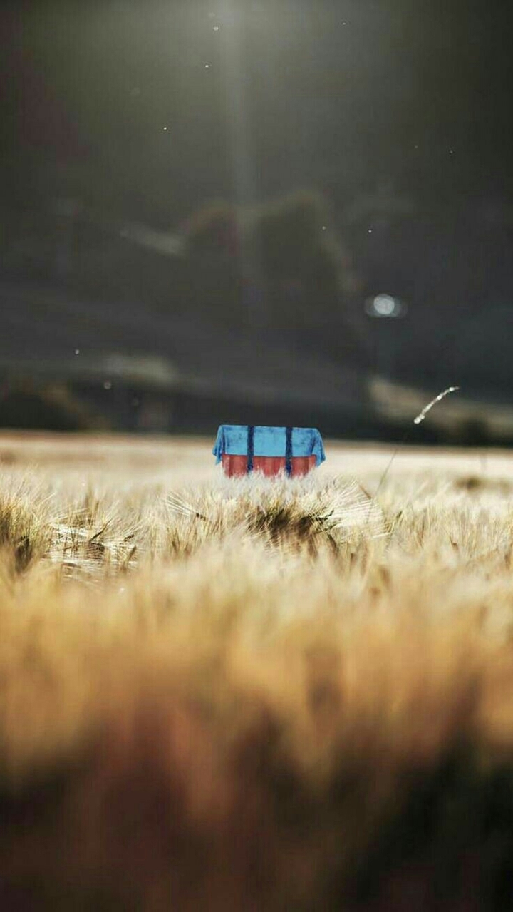 pubg
