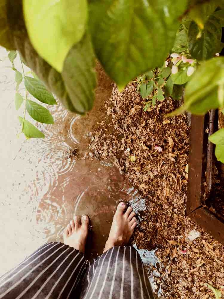 rain