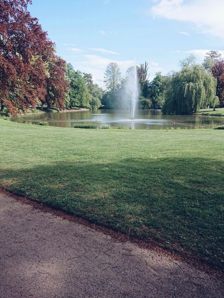 Park