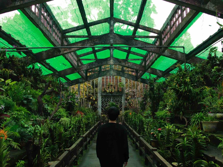 the secret garden