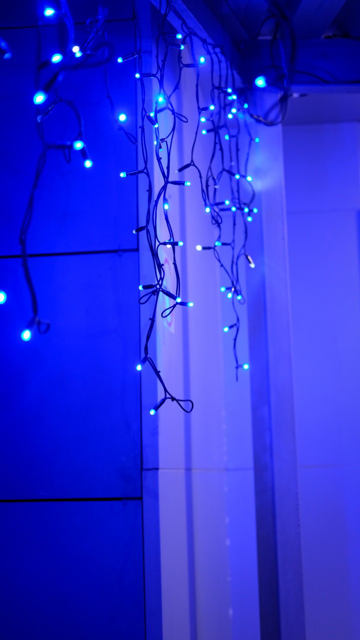Christmas lights