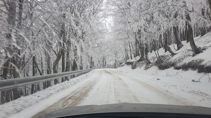 sabaduri forest, Georgia