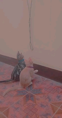 Mis bebés jugando felices