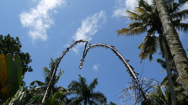 bali