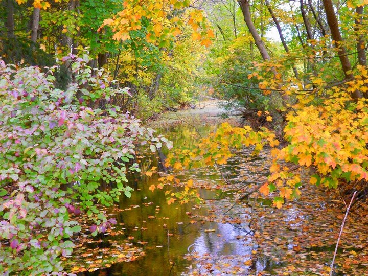 Better Upstate NY fall
