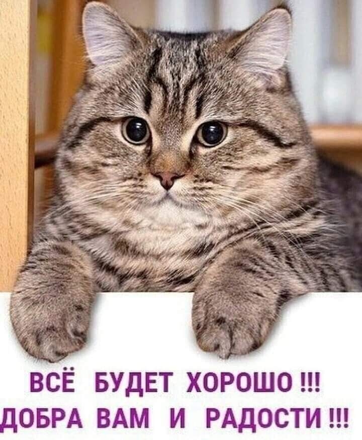 ))))