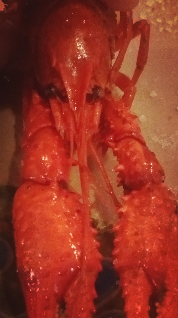 Red Thing