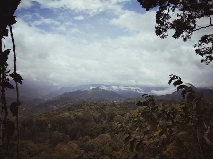 Nature