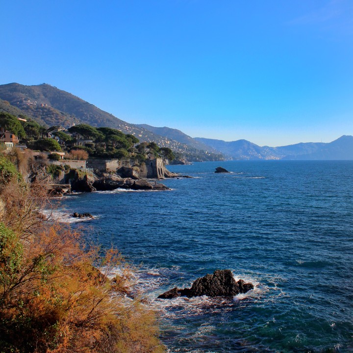Genova