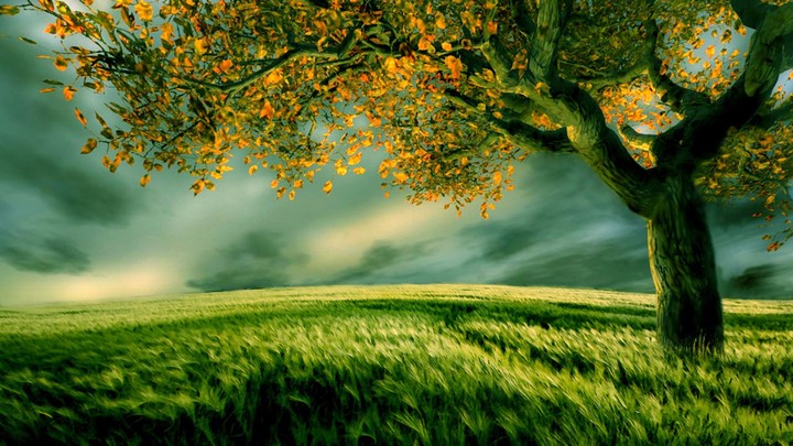 Nature