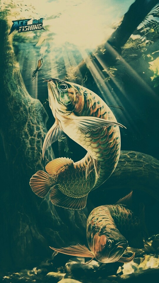fish