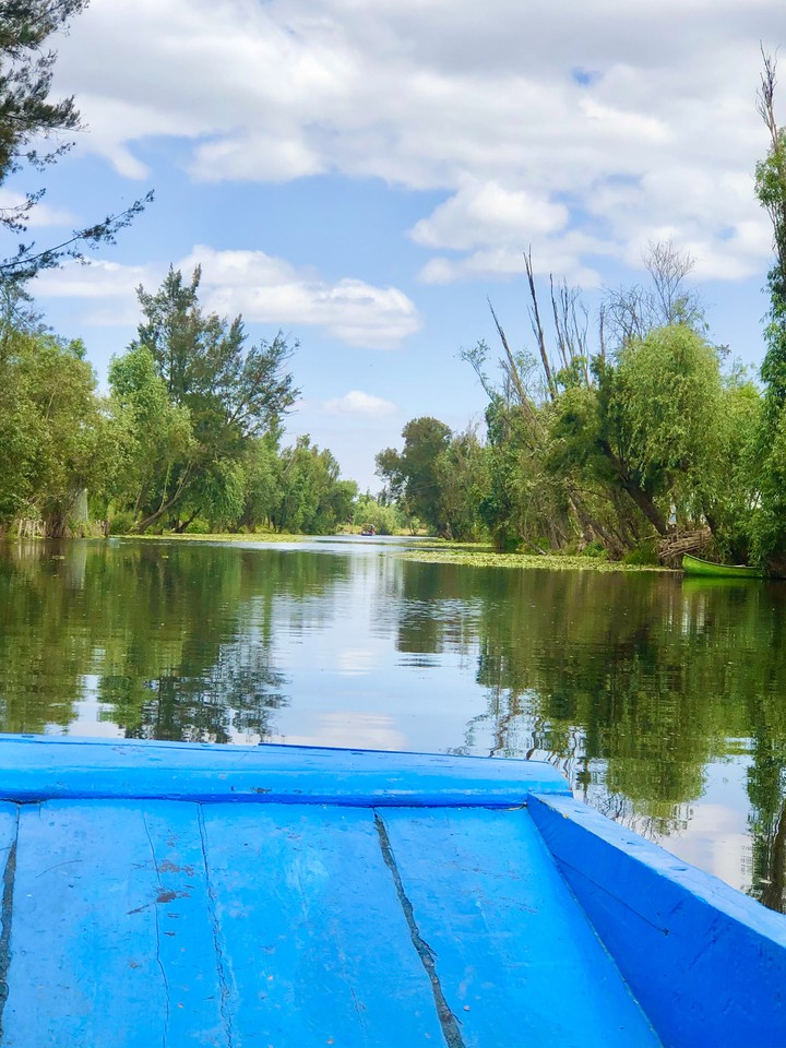Paseo por Xochimilco