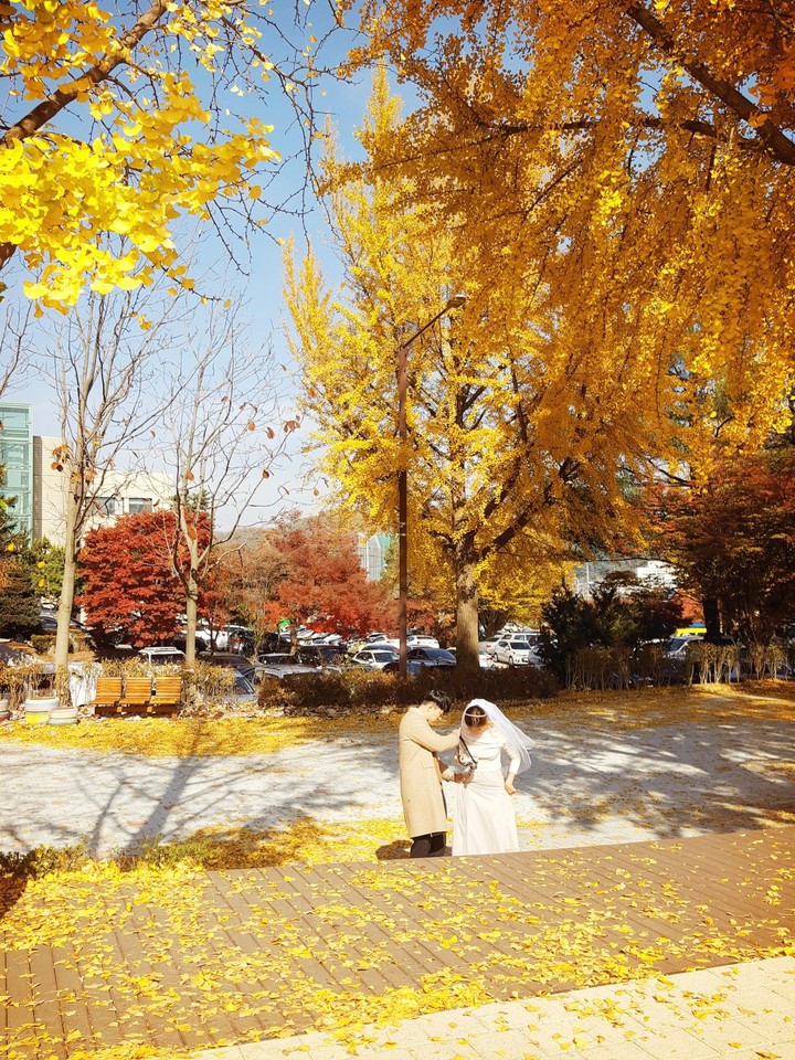 이쁜커플 가을사진찍는날