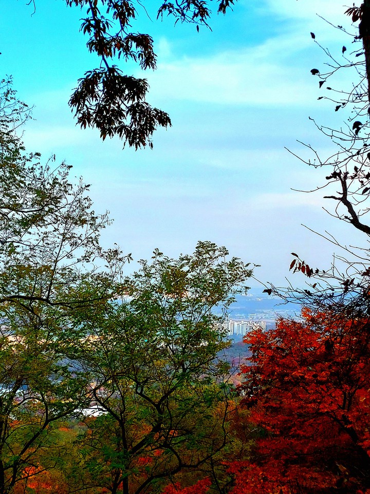 Autumn