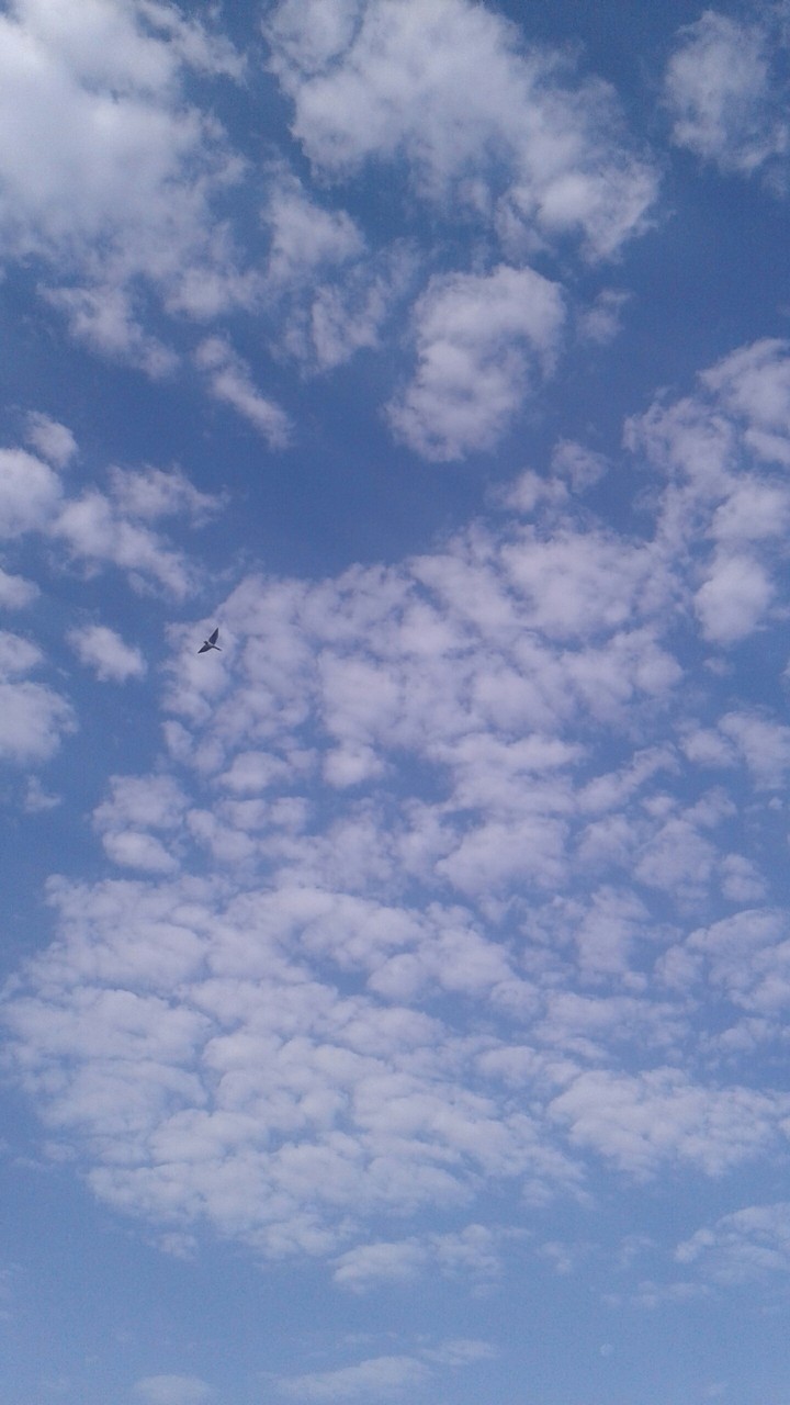 sky