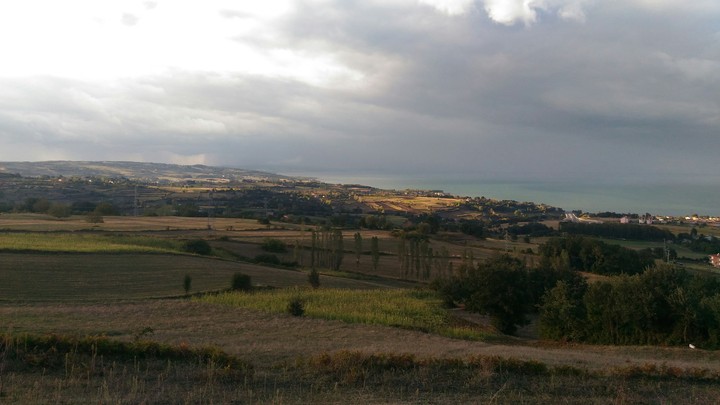 manzara