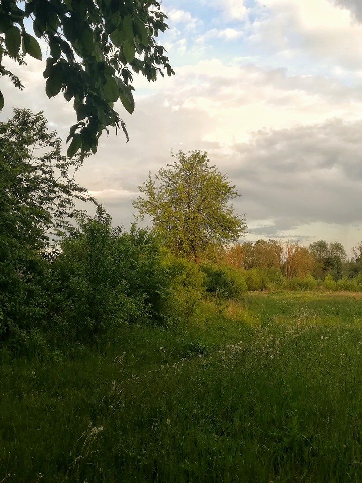 mother nature